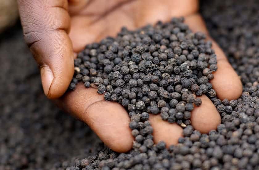 I viaggi delle papille Ep.5: Penja Pepper, superstar delle valli africane