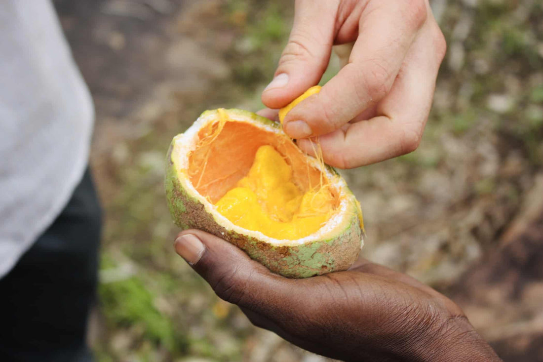 I Viaggi delle Papille Ep.3: le Saba Senegalensis