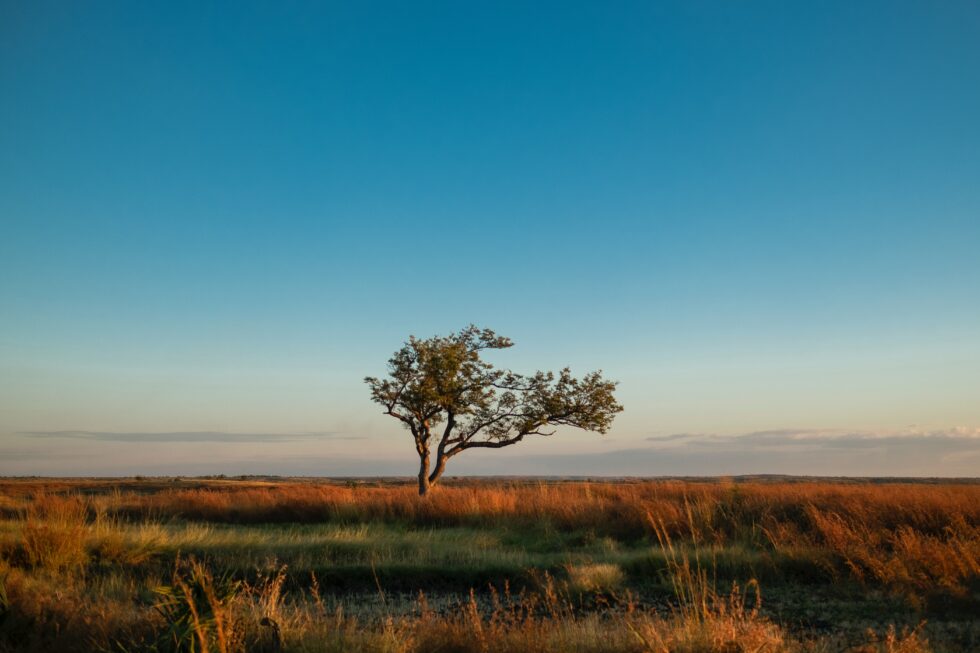 La crisi idrica in Madagascar
