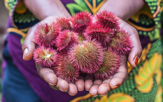 I viaggi delle Papille Ep.1: il Rambutan